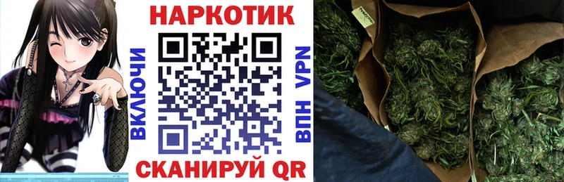Где продают наркотики Подпорожье СК  Галлюциногенные грибы  Мефедрон  АМФ  МЕГА сайт  МАРИХУАНА  ГАШ 